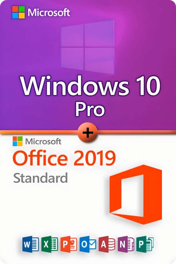 Microsoft Windows 10 Professional + Microsoft Office 2019 Standard License for 3 devices